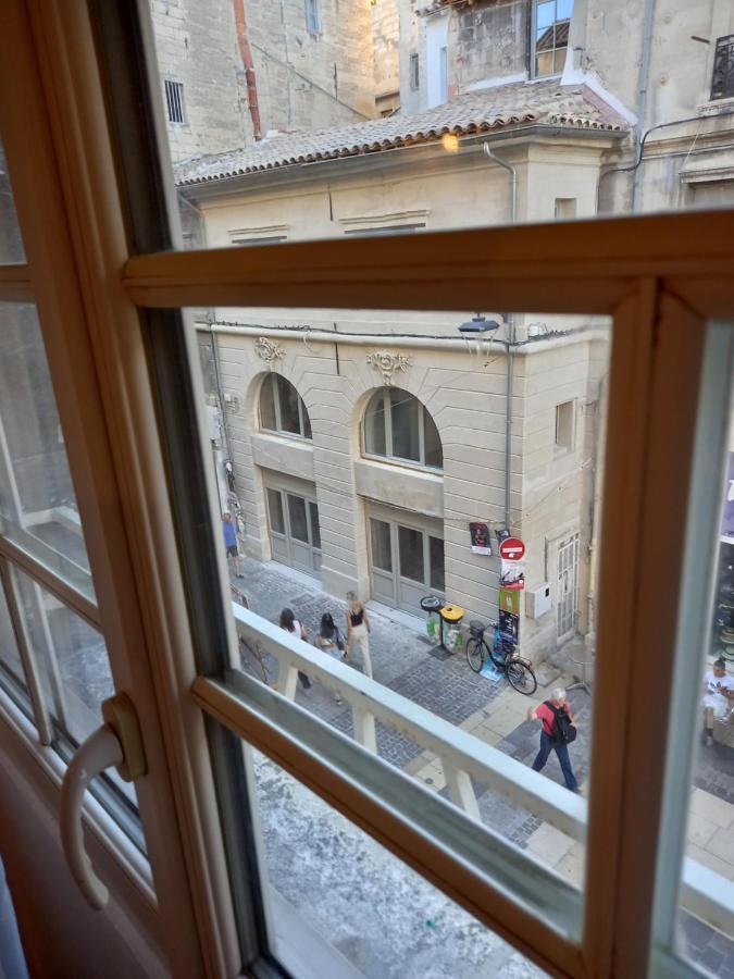 Studio Cocooning Centre Historique D Avignon公寓 外观 照片