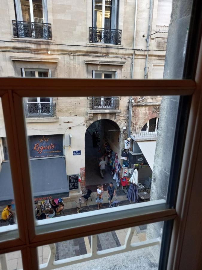 Studio Cocooning Centre Historique D Avignon公寓 外观 照片